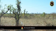 Dakar Ugebung 018