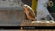 2014_at_the_marabu 002