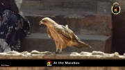 2014_at_the_marabu 012