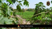 Dakar Cite Comico 008