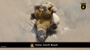 Dakar Südstrand 011
