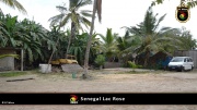 Lac Rose 011