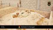 Tiere in Senegal 001