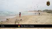 Strand in Dakar 017
