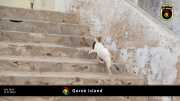 Goree Island 015