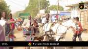 Verschiedene Bilder aus Senegal 082