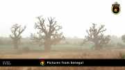 Verschiedene Bilder aus Senegal 085